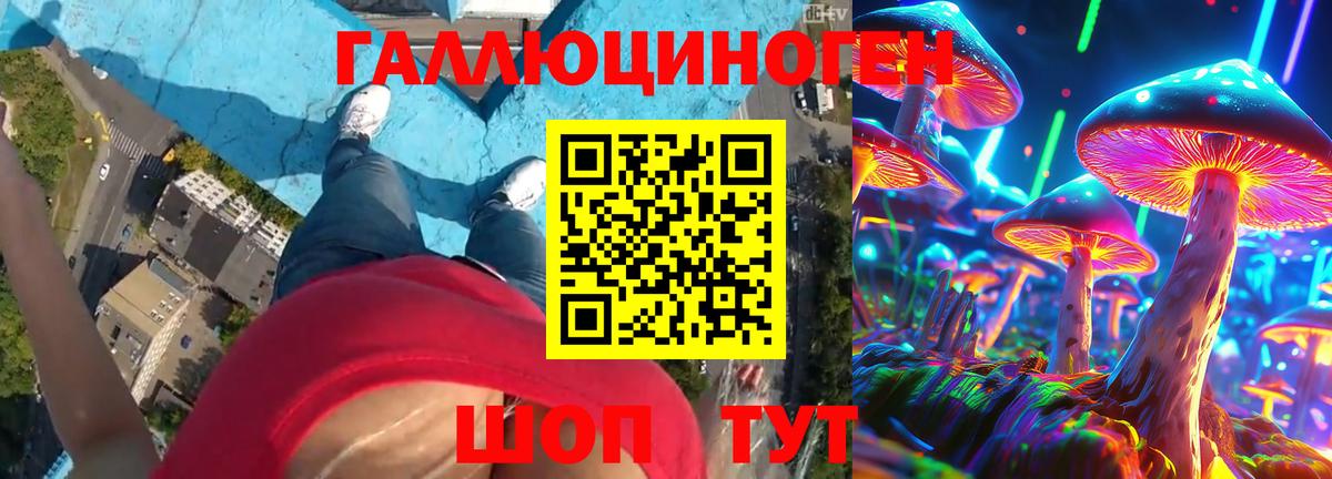 Псилоцибиновые грибы Magic Shrooms Заречный