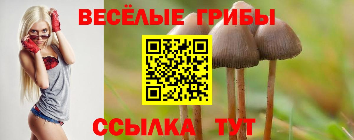 Галлюциногенные грибы Cubensis  Вход с VPN  Заречный 